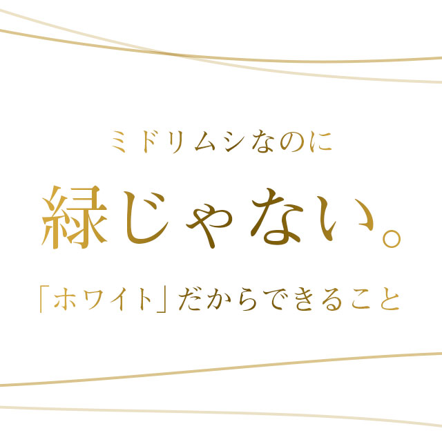 ホワイトユーグレナ(約1ヶ月分)ユーグレナビタミンミネラルアミノ酸パラミロンGABA不飽和脂肪酸送料無料ミドリムシサプリサプリメントパラミロン食物繊維美容健康ダイエットみどりむし_JB_JH