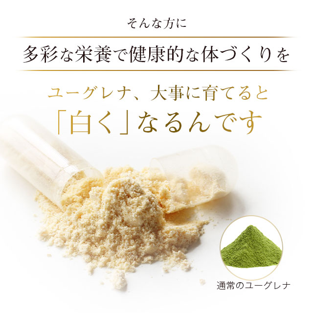 ホワイトユーグレナ(約1ヶ月分)ユーグレナビタミンミネラルアミノ酸パラミロンGABA不飽和脂肪酸送料無料ミドリムシサプリサプリメントパラミロン食物繊維美容健康ダイエットみどりむし_JB_JH