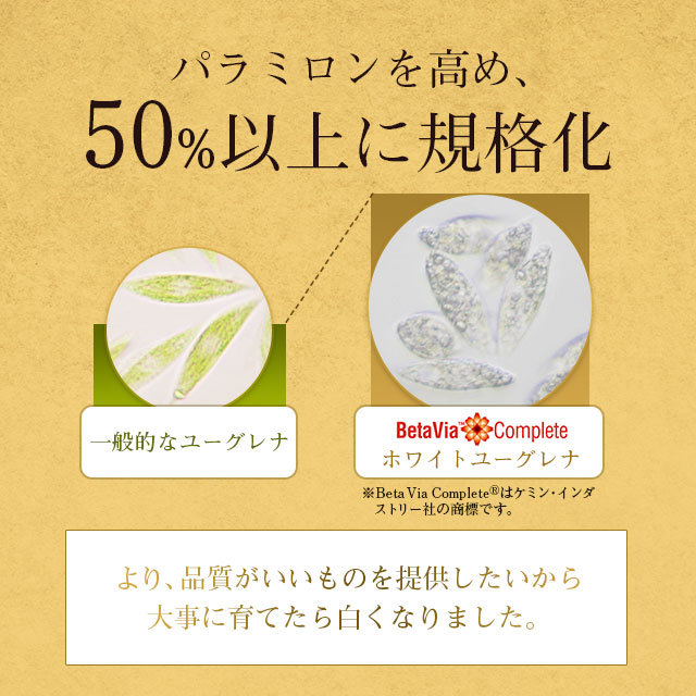 ホワイトユーグレナ(約1ヶ月分)ユーグレナビタミンミネラルアミノ酸パラミロンGABA不飽和脂肪酸送料無料ミドリムシサプリサプリメントパラミロン食物繊維美容健康ダイエットみどりむし_JB_JH