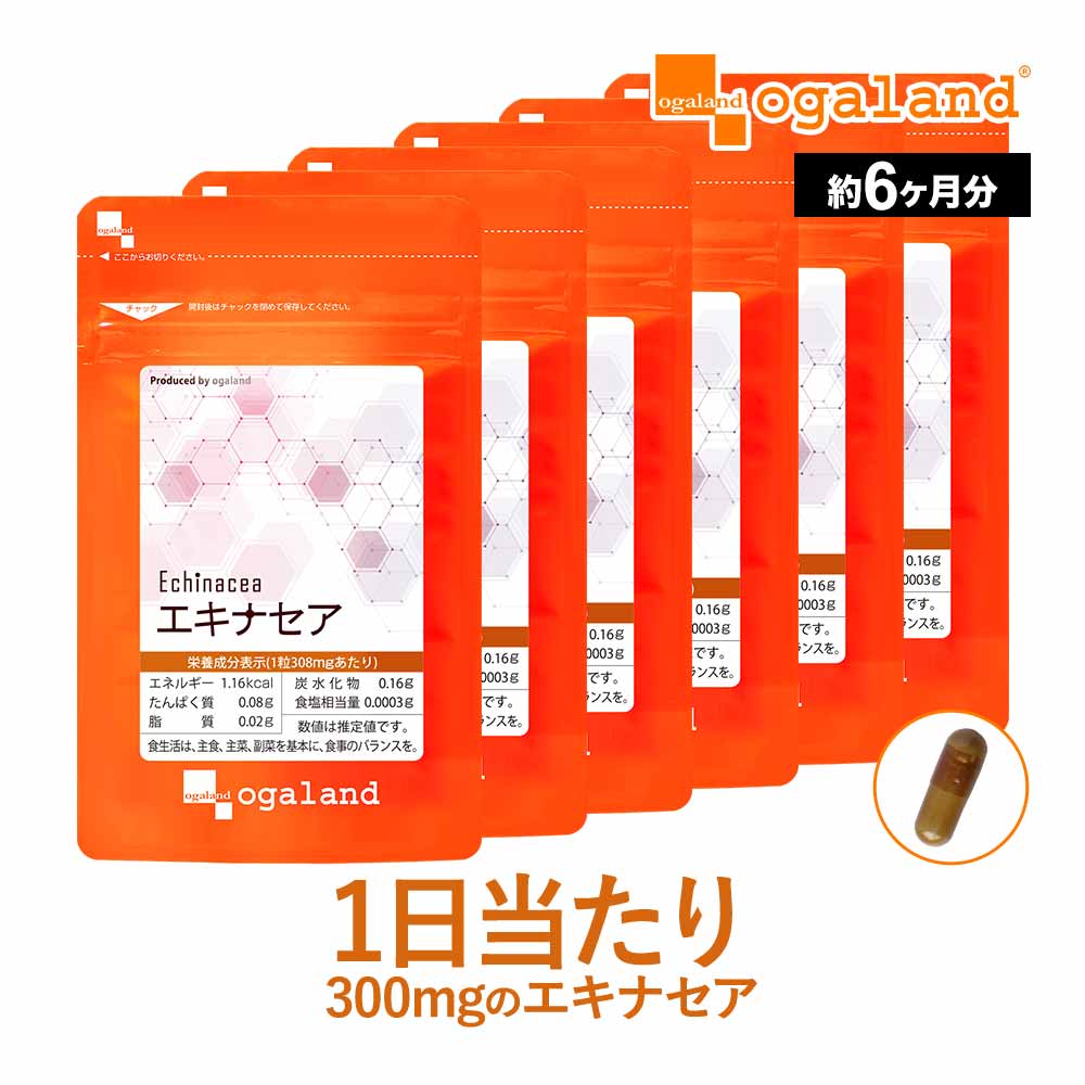 noix エキナセア確認用 noix様専用 エキナセア確認用