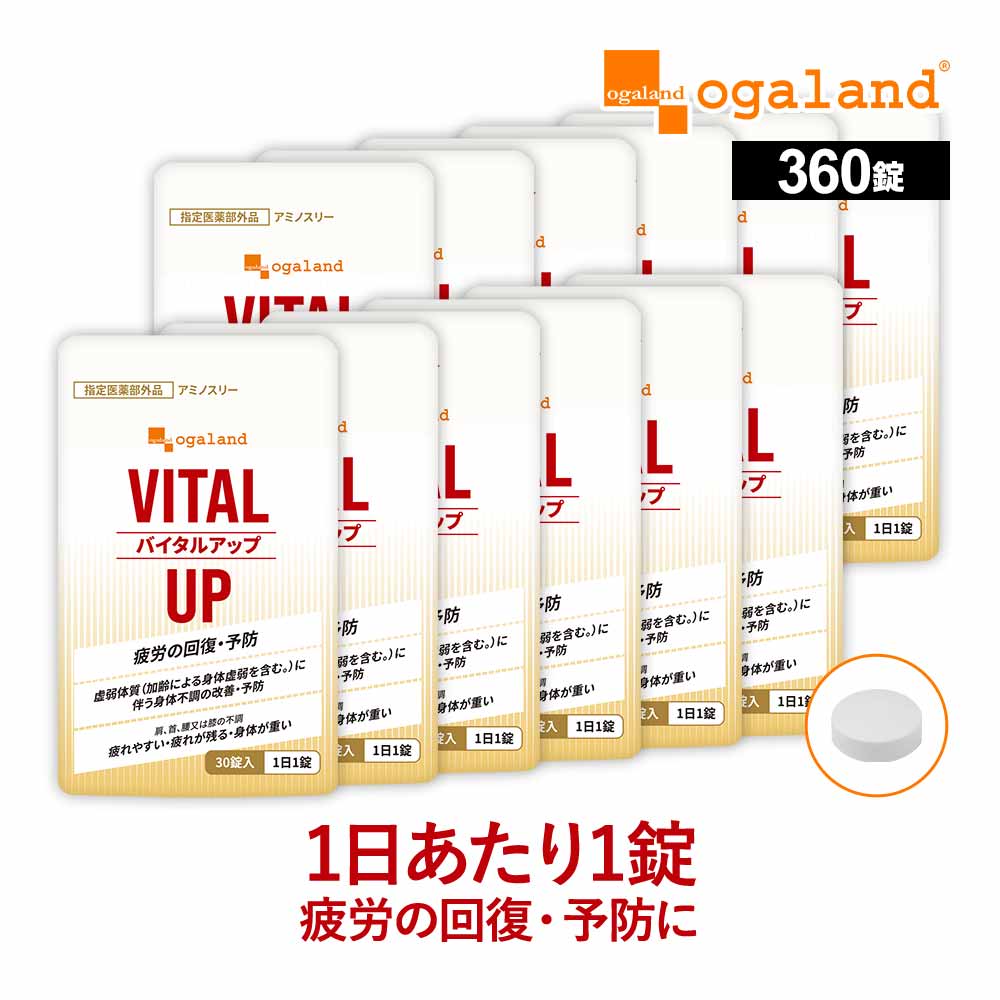 【 指定医薬部外品 】バイタルアップ（12個セット・360錠） 送料無料 疲労回復 首 肩 腰 虚弱体質 疲れやすい 疲れが残る 身体が重い 身体がだるい 栄養 不良 身体不調の改善・予防 二日酔 だるさ 目の疲れ 食欲 不振 BCAA チアミン バリン ロイシン イソロイシン