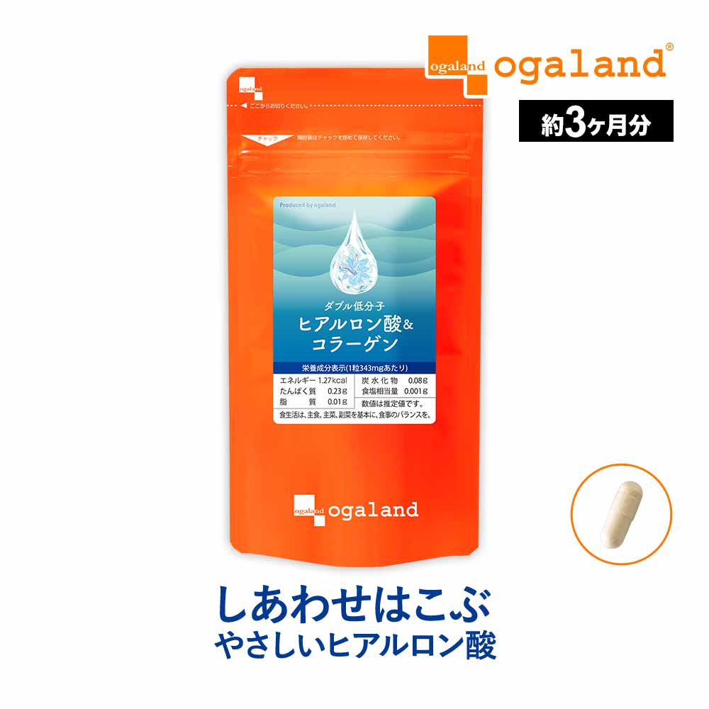 除湿マット シングル すのこマット 除湿シート 吸湿マット エアジョブMax アレルキャッチャータイプ グリーン 湿気対策 除湿マット 湿気