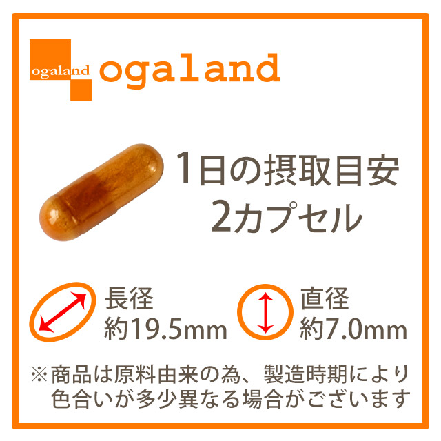 楽天市場 Edge エッジ 約1ヶ月分 送料無料 サプリメント サプリ オリーブ葉エキス オレウロペイン カツアーバ マカ パフィアエキス末 オーガランド 元気 健康 男性 亜鉛 メンズ Jh サプリ専門店 オーガランド