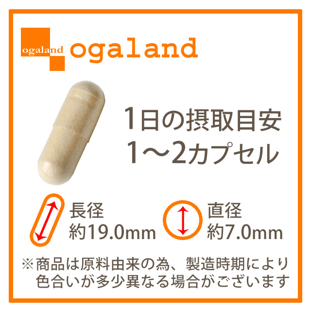 ホワイトユーグレナ(約1ヶ月分)ユーグレナビタミンミネラルアミノ酸パラミロンGABA不飽和脂肪酸送料無料ミドリムシサプリサプリメントパラミロン食物繊維美容健康ダイエットみどりむし_JB_JH