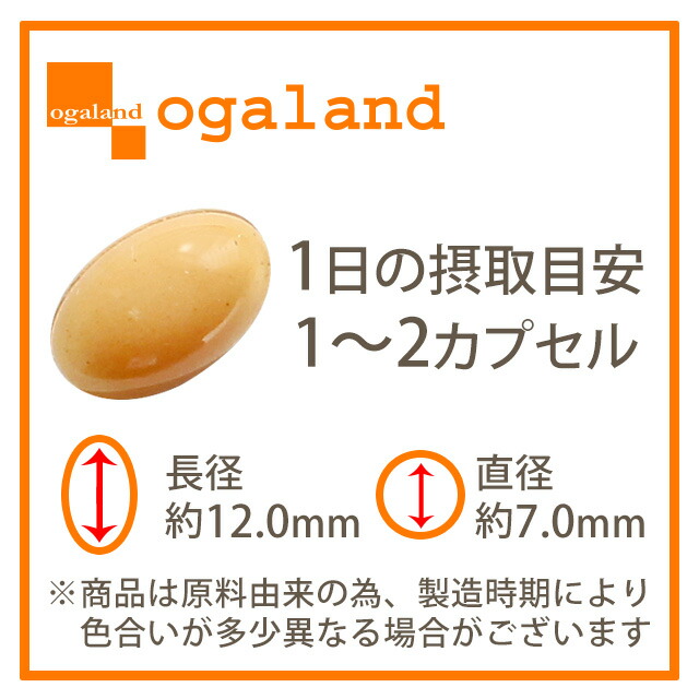 粒画像
