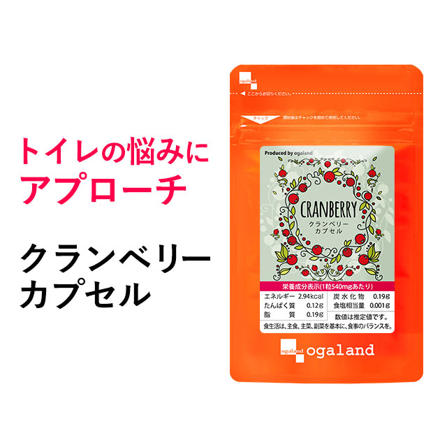 目玉価格 送料無料 MSM&キャッツクロー(約6ヶ月分)サプリメント MSM キャッツクロー （約6ヶ月分）送料無料 サプリメント