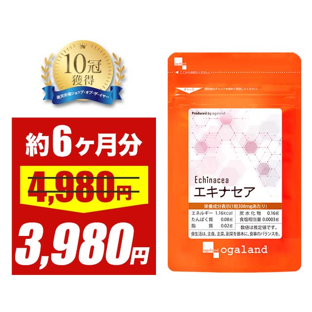 みかん鮫様 みかん様 ミカン様 ミカン様 蜜柑様 レビュー】ZXシリーズ10周年