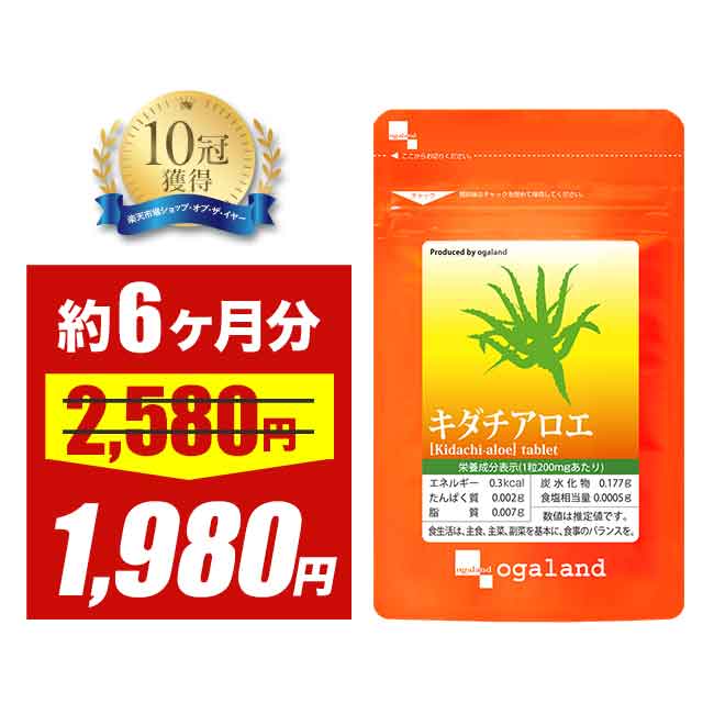 キダチアロエ　確認用 園芸ネット本店｜キダチアロエ（木立アロエ）7号鉢植え の通販【公式】