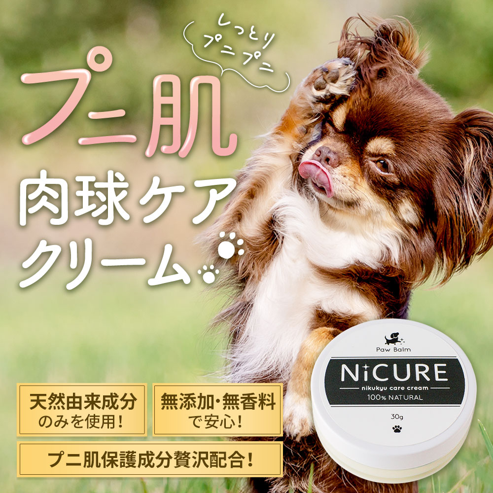 犬 肉球 保湿クリーム 無香料 猫 メドウフォーム油 無添加 足 ヒマワリ油 シアバター オリーブ油 30g ホホバオイル 天然成分100 保湿 クリーム ケア