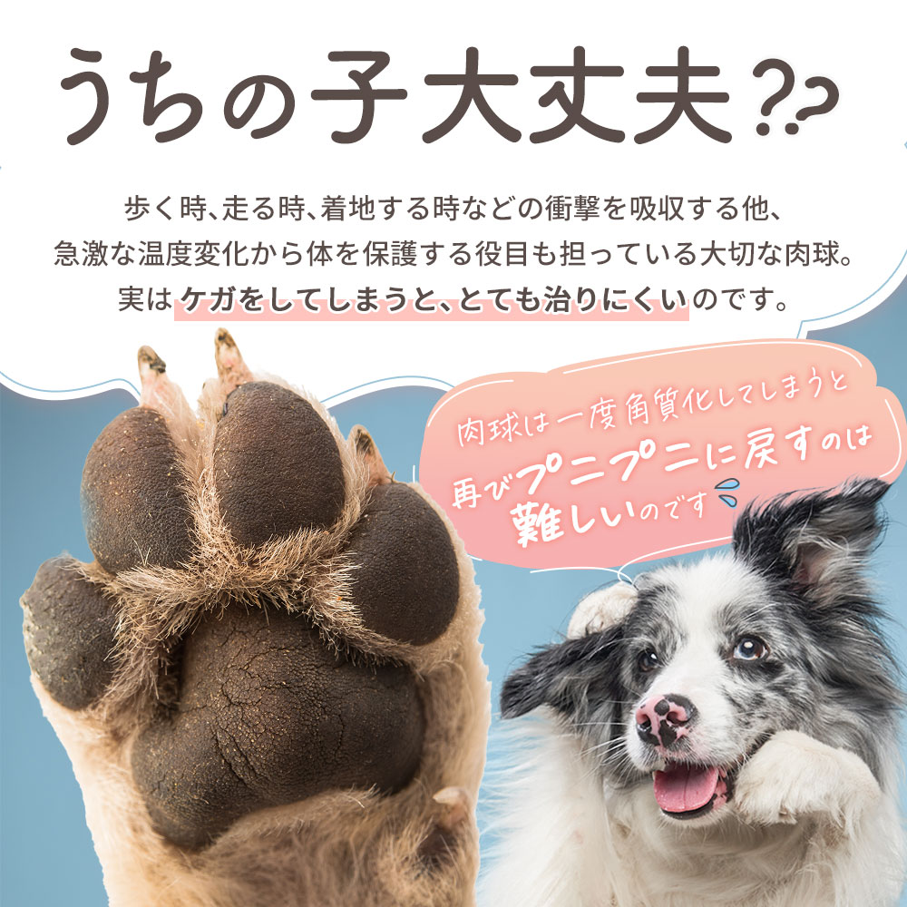 犬 肉球 保湿クリーム 無香料 猫 メドウフォーム油 無添加 足 ヒマワリ油 シアバター オリーブ油 30g ホホバオイル 天然成分100 保湿 クリーム ケア