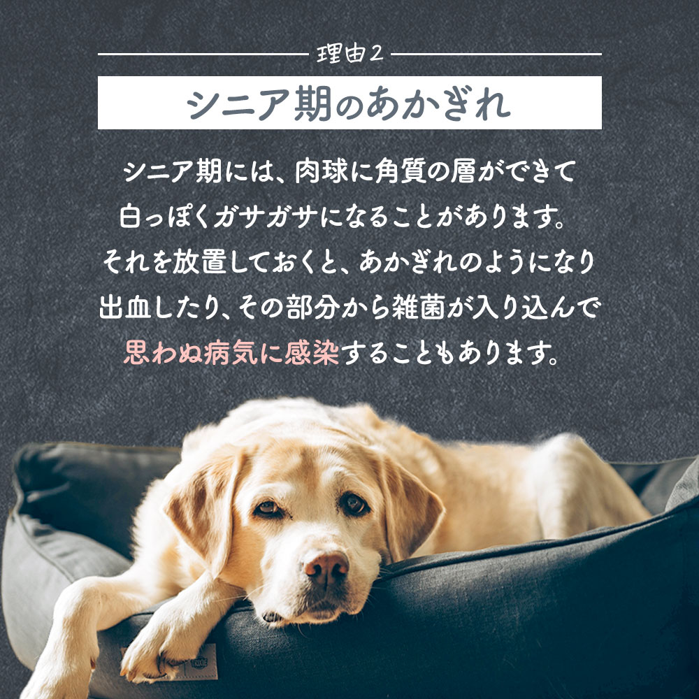 犬 肉球 保湿クリーム 無香料 猫 メドウフォーム油 無添加 足 ヒマワリ油 シアバター オリーブ油 30g ホホバオイル 天然成分100 保湿 クリーム ケア