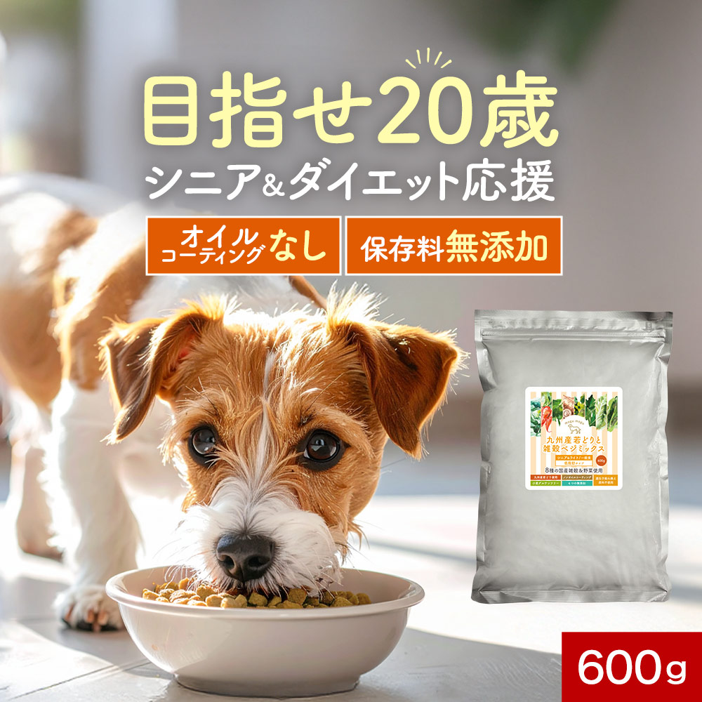 【LINE書きとどめるでさらに10%OFF】＼目指せ20歳／年がしら＆食事制限助けること★ドッグフード 600g オール高座 全年歳・全犬種相応う 保護すること料 無足し加える ノン油絵の具上塗り 国産 素っ気ない 素粒子 中粒 超小型犬 小型犬 中型犬 大型犬 腎の臓