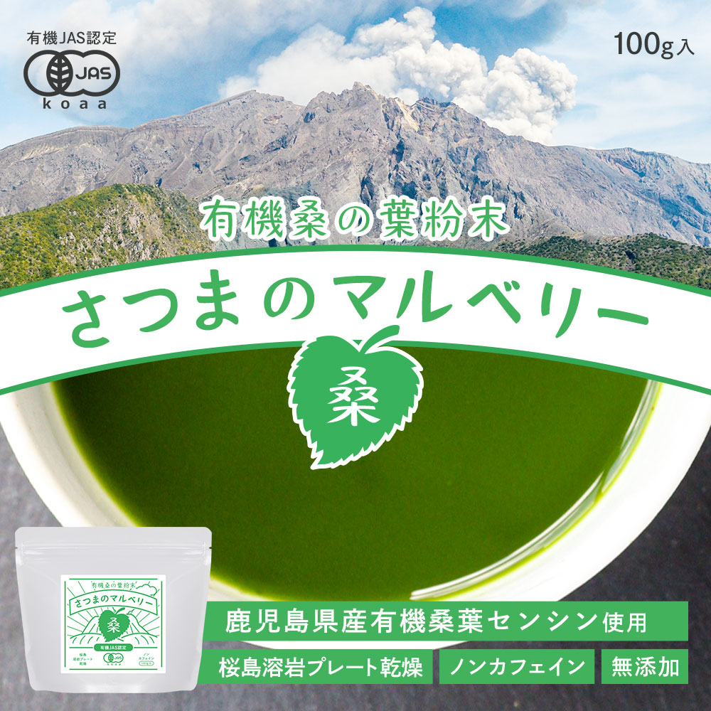 市場 訳あり オーガニック 100g 粉末 在庫処分 有機 有機JAS 糖質 鹿児島県産 国産 ダイエット 青汁 ノンカフェイン 制限 対策 桑の葉  無添加 桑の葉茶