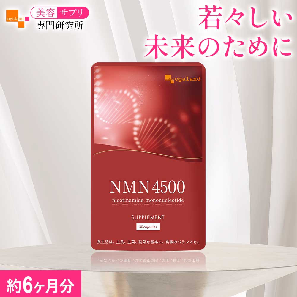 文芸批評忍従で人並み外れた品差し上げ物??
