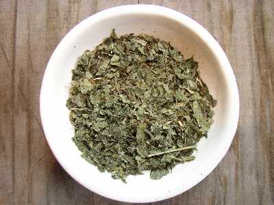 草本 ローズ苑のハーブティーインググラウンド レモンバーム 80 Doorswindowsstairs Co Uk