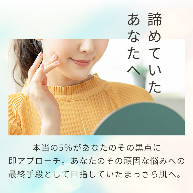 楽天市場 ハイドロキノン クリーム シミ くすみ 5 送料無料 純 ハイドロキノン 5 クリーム 6g Hq ハイドロキノンクリーム お試し おすすめ スポット 狙い トラブル ケア 肌 美肌 目元 スクワラン 皮膚 科 美容液 化粧水 乳酸 高濃度 国産 日本製 ロロシューン Loro