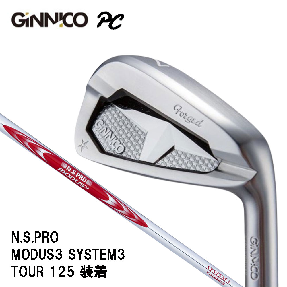 イオンスポーツ ジニコ PC アイアンセット #6-#PW 5本 N.S.PRO MODUS3 SYSTEM3 TOUR 125 装着モデル 右利き メーカー組み立て 完成品 GINNICO