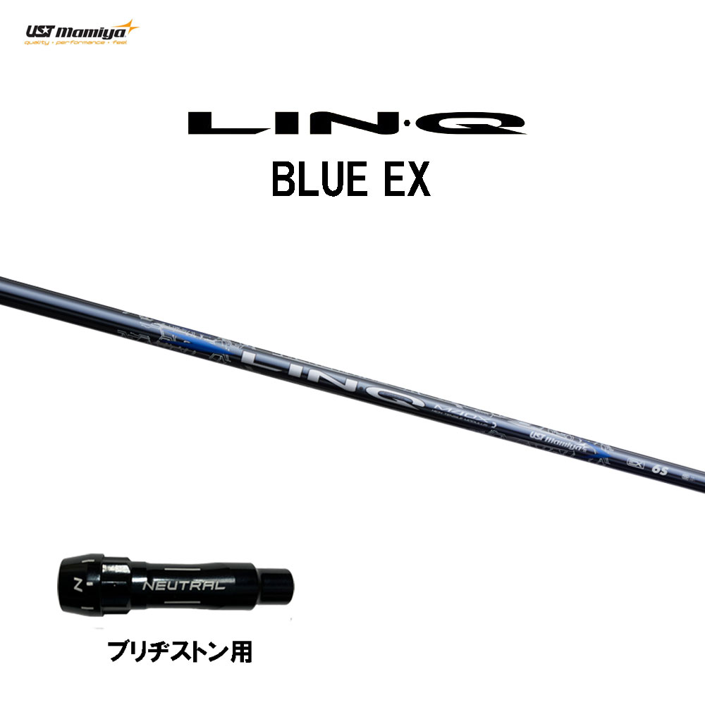 linq-bl-ex-bsj.jpg