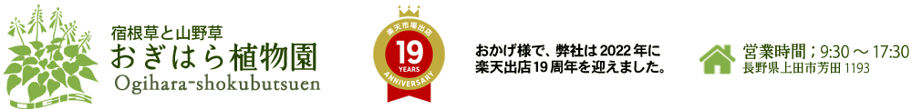 おぎはら植物園:庭植えに適した宿根草、山野草類など多数の珍しい品種を扱ています