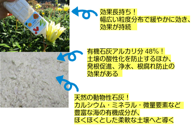 楽天市場 糸島産 カキ殻肥料 エコライム500ｇ 天然石灰 アルカリ性 効果が持続 有機石灰 牡蠣殻 家庭菜園 農業 野菜 肥料 畑 プランター 簡単 効果長持ち ガーデニング ベランダ菜園 大坪ｇｓｉ 楽天市場店