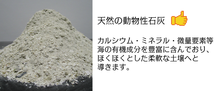 楽天市場 糸島産 カキ殻肥料 天然石灰 エコライム アルカリ性 効果が持続 有機石灰 500g 大坪ｇｓｉ 楽天市場店