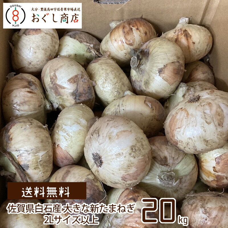 サイズ】 佐賀県産 たまねぎ 20kg Lサイズ 大容量オニオン たっぷり使える 常備野菜 除湿乾燥 オニオンスープ 業務用：北海道農産どっと  たっぷり - shineray.com.br