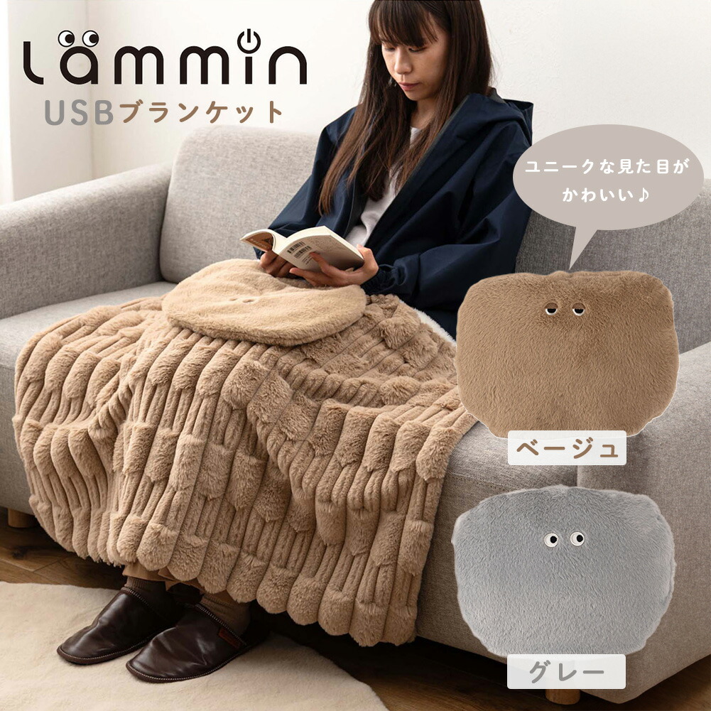 楽天市場】USBブランケット 約幅100×奥行70×高さ2cm ベージュ グレー