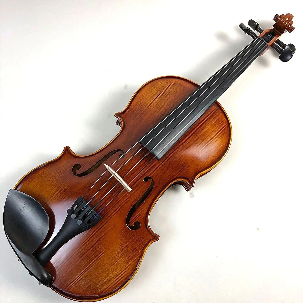 楽天市場】身長105〜125cm チェロ4点セット□カルロ
