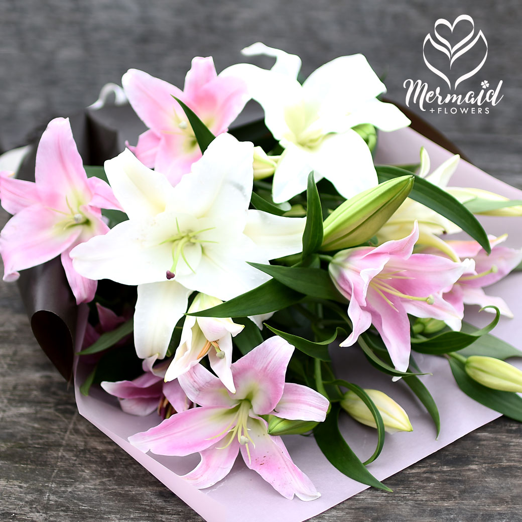 50 素晴らしいカサブランカ 花 最高の花の画像