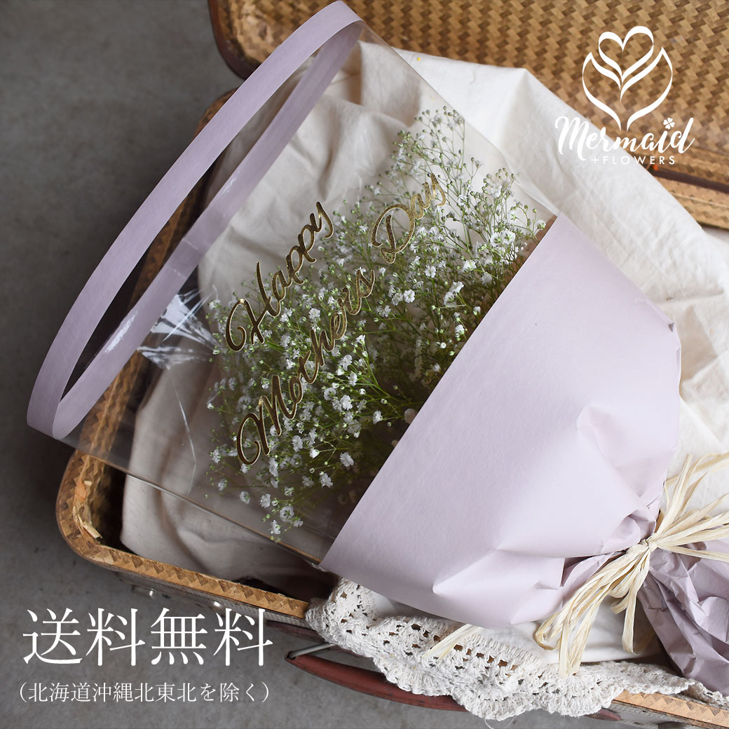 【母の日 ギフト 母の日プレゼント 2026】プレゼント かすみ草 カスミソウ 花束 「母の日限定 文字入りかすみ束 」メッセージ付き 花 祝い プレゼント ギフト 結婚祝い お礼 花束 生花 ドライフラワーにも 送料無料