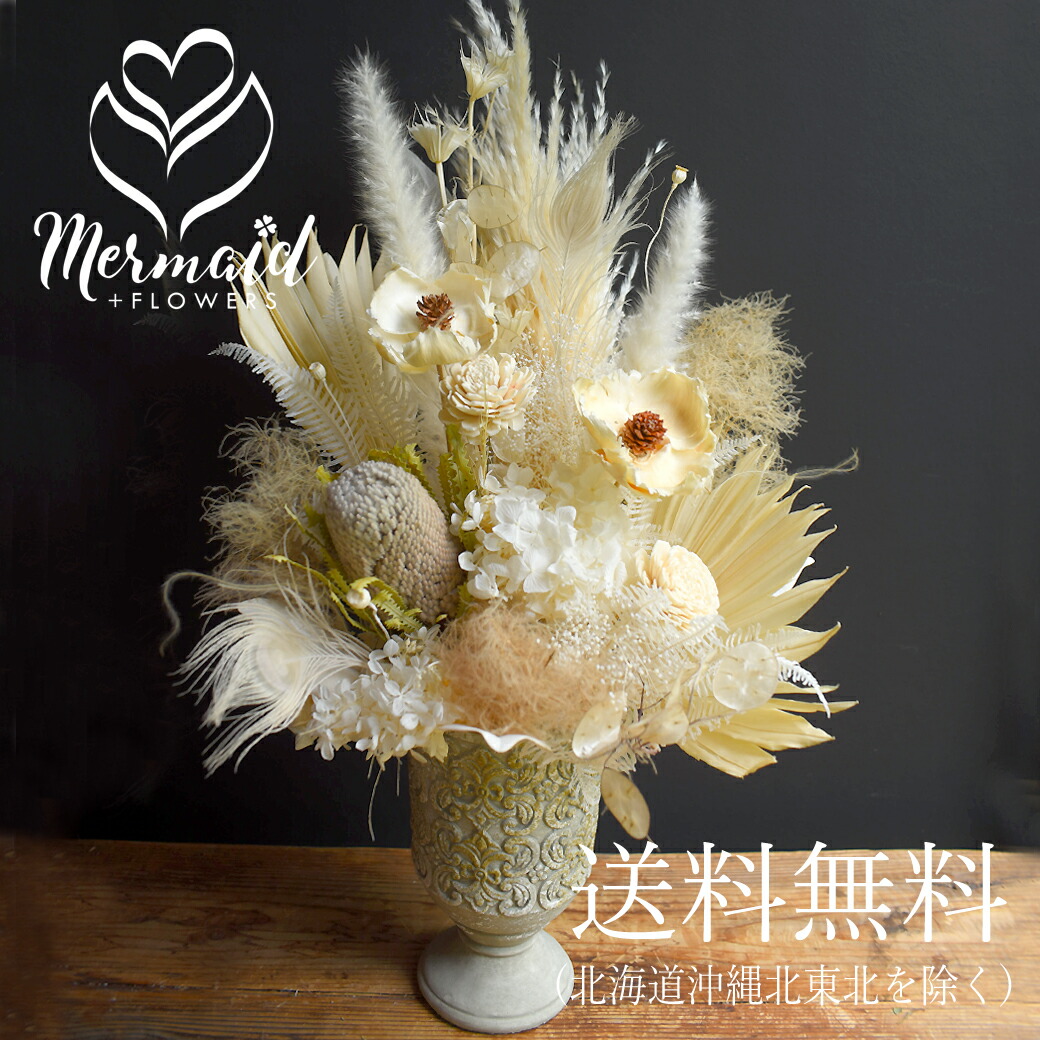 楽天市場】【単品ドライフラワー】グレビリアゴールド グレビリア