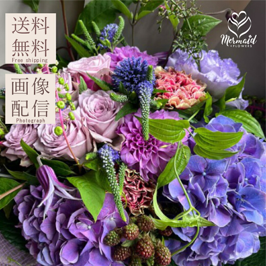 【D】生花　デンファレ　紫　80本　アレンジ　花束　ブーケ　洋蘭　切り花 楽天市場】【紫のデンファレ花束】 花束 生花 送料無料 上品で