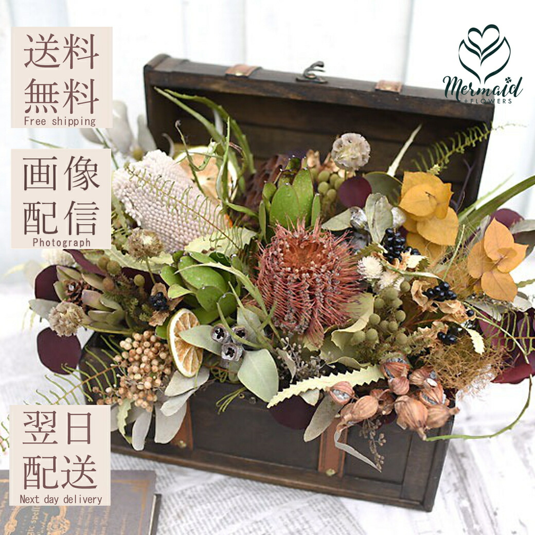 楽天市場】【単品ドライフラワー】グレビリアゴールド グレビリア