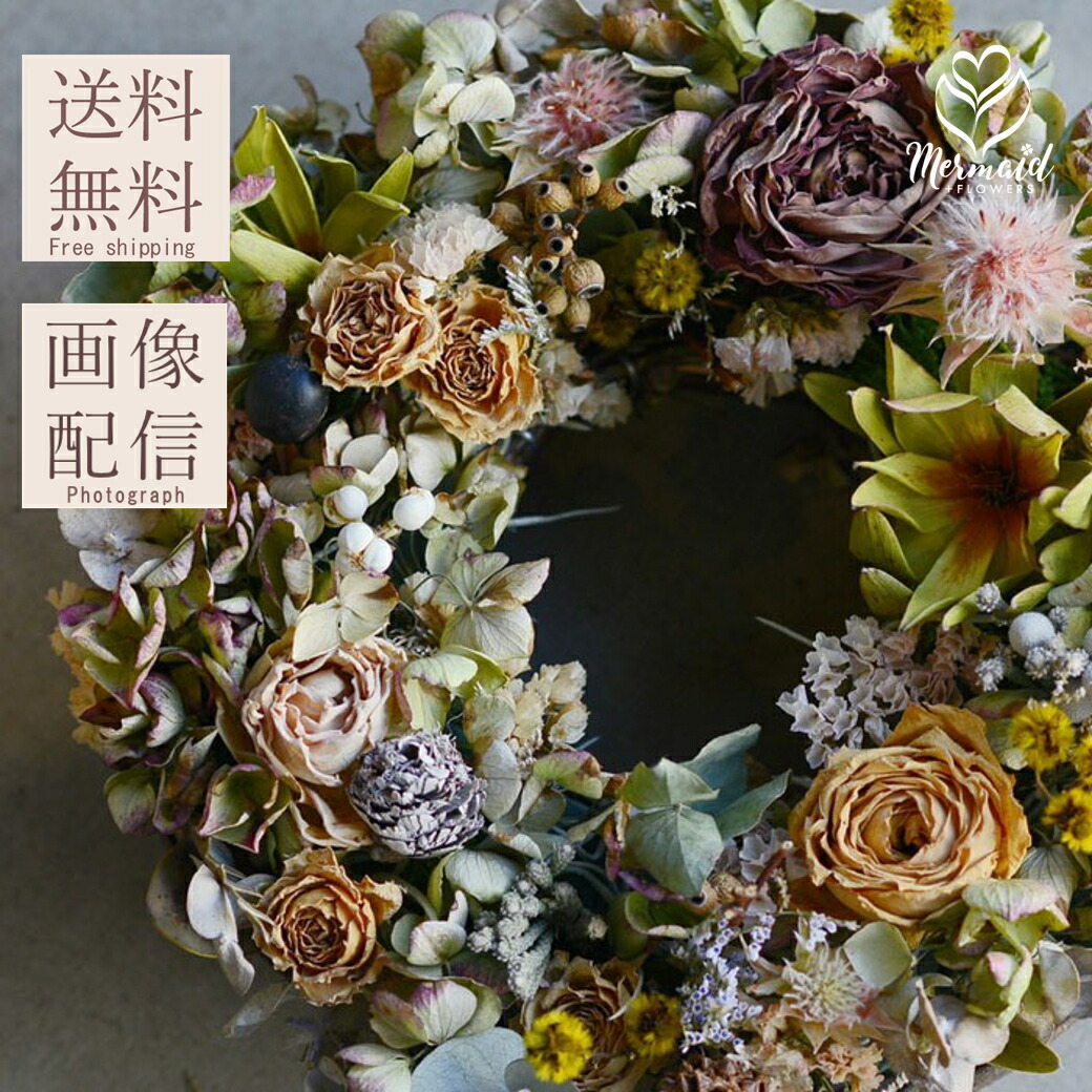 楽天市場】【単品ドライフラワー】グレビリアゴールド グレビリア