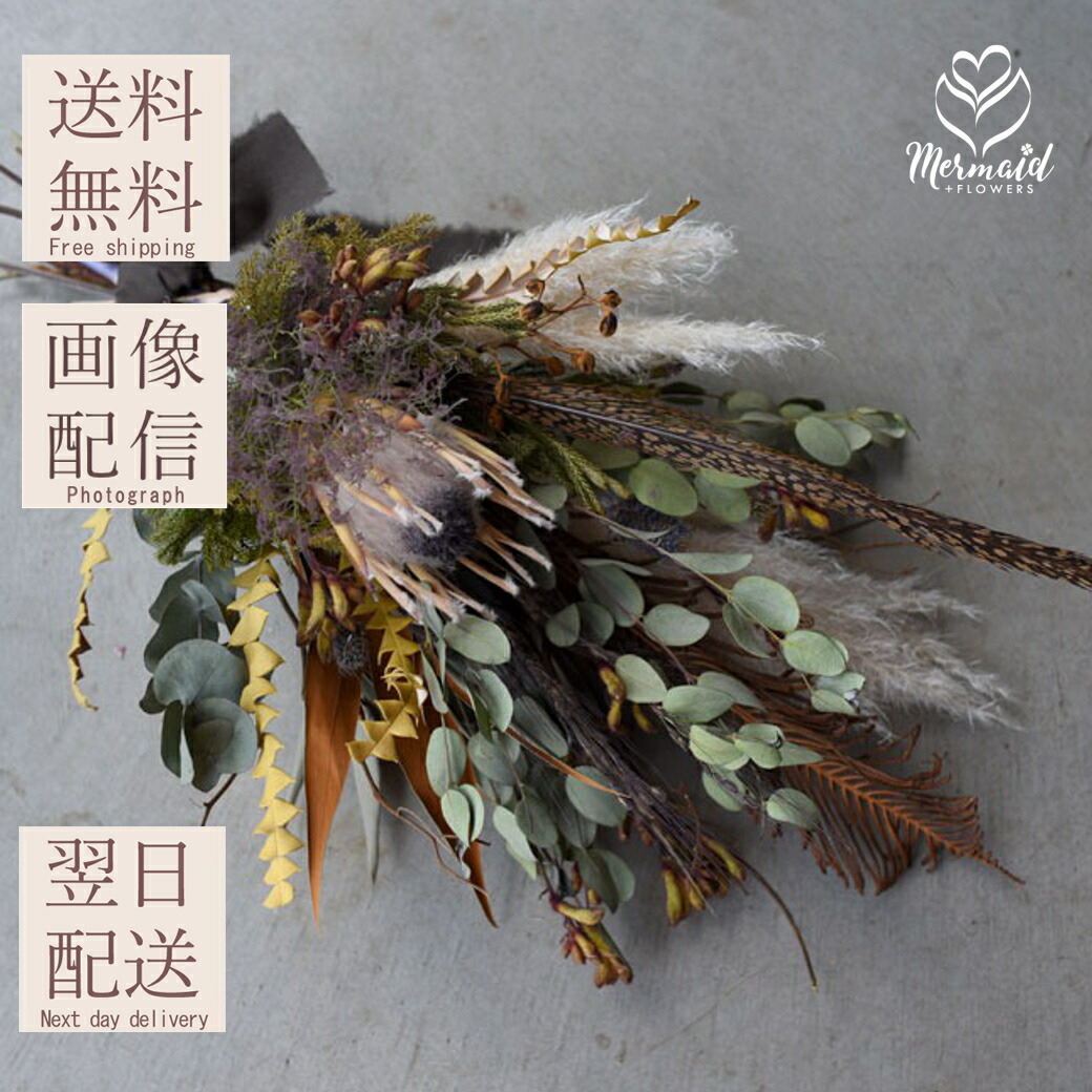 楽天市場】【単品ドライフラワー】キングプロテア ピンク 1本