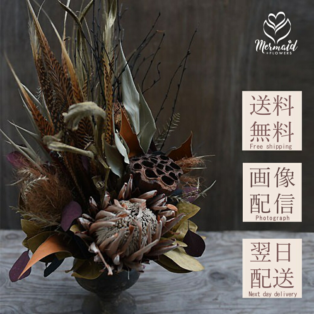 楽天市場】【単品ドライフラワー】キングプロテア ピンク 1本