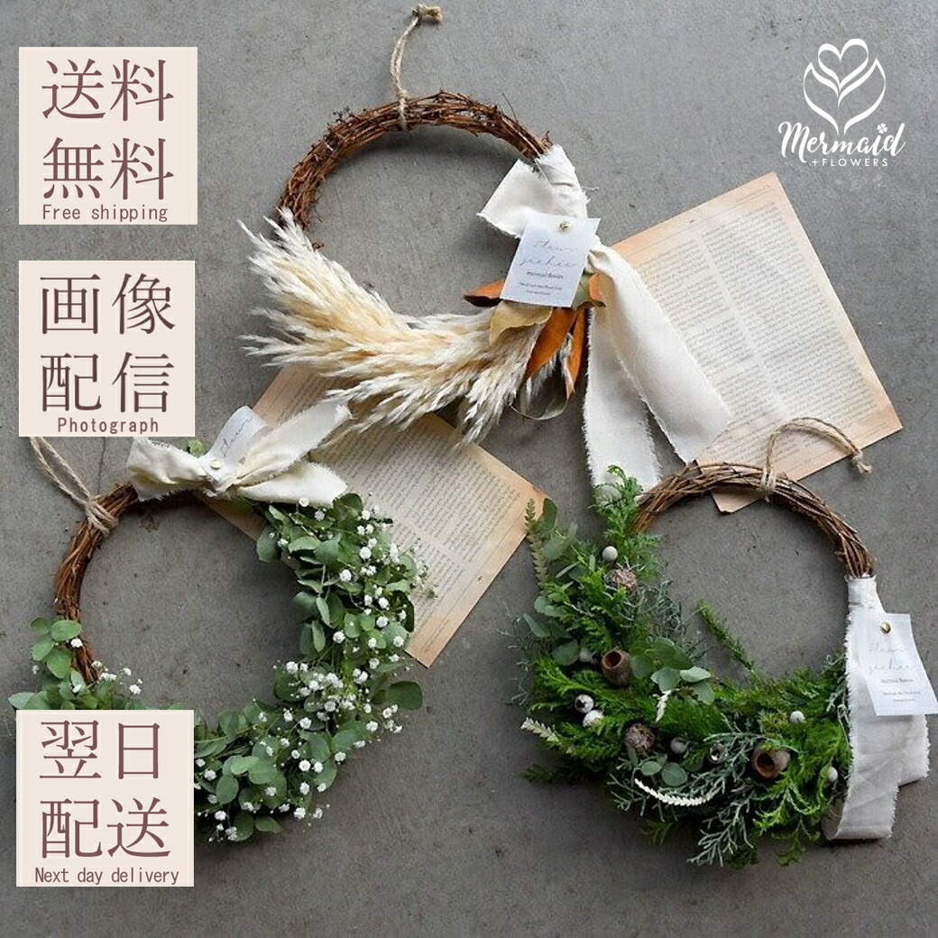 楽天市場】ドライフラワー 月 三日月 ルナ ムーン スワッグ ハーフ