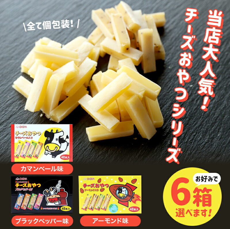 珍味 チーズお兄さん 48個収益 6甲殻 送料無料 おやつ 御菓子 お柄 アルコールのつまみ チーズ ちーず 個包装 おプロフィットな凝固 田圃愛顧委員会無料 Nobhillmusic Com