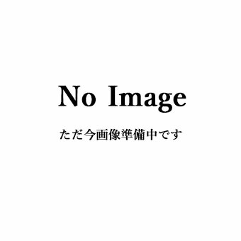 ウレヒーロー ラスクリ2液型 メタリックシルバー 17.6kgセット(主剤 17kg