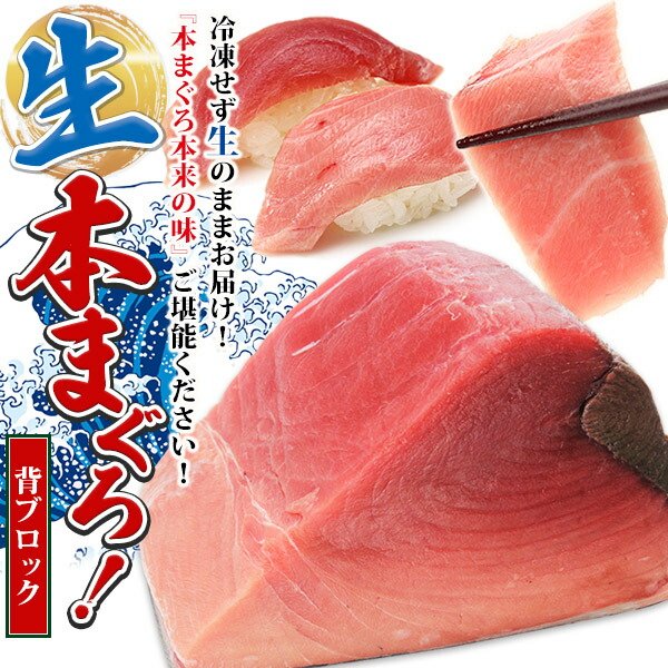 境港産本マグロ（クロマグロ） 腹しも（下）または 背しも（下