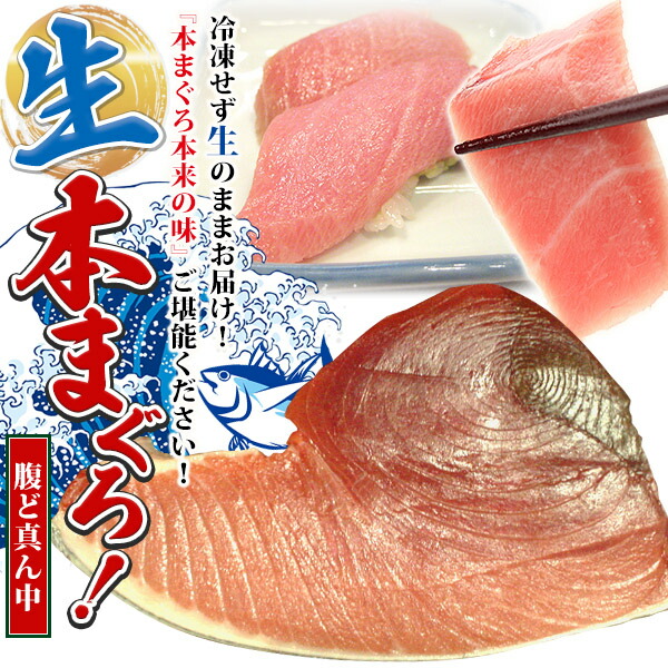 【楽天市場】国産【生本マグロの腹上】約800ｇ（約5〜6人前）目安⇒刺身約48切れ最高級品種 国産くろまぐろ（本マグロ ）生鮮【まぐろ】【鮮魚】【冷蔵便】生本まぐろ : 瀬戸内の珍味＠網元大将