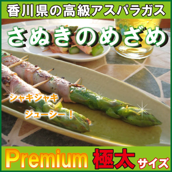 img58438458.jpg
