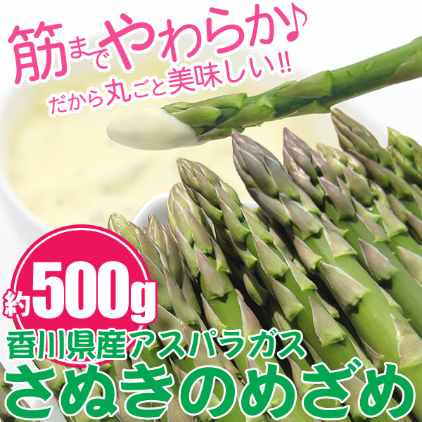 楽天市場】海のグリーンアスパラガスさぬきのめざめ1kg : 瀬戸内