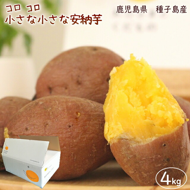 楽天市場 小さな安納芋3kg 送料無料 訳あり ご家庭用 さつまいも 3kg箱 鹿児島県 種子島産 不作による仕入れ価格高騰により販売価格 を変更しています おひさまとくだもの
