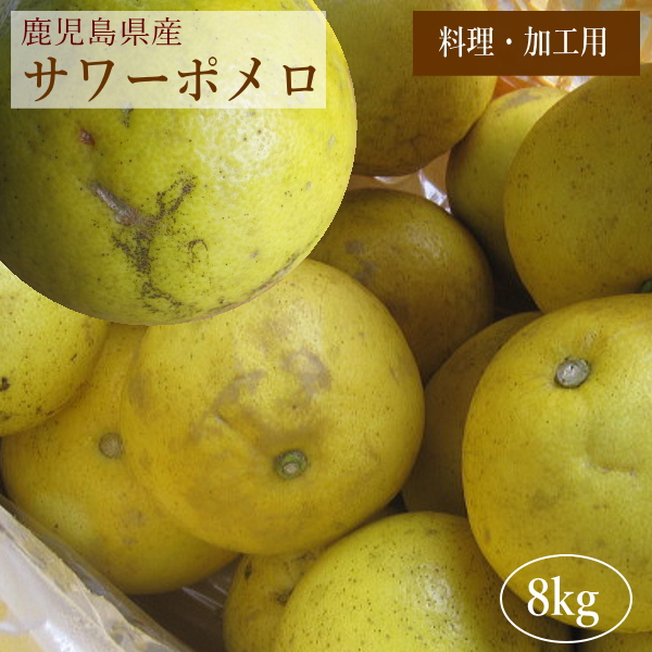 無農薬！鹿児島産サワーポメロたっぷり15㎏ 激安商品 - 果物