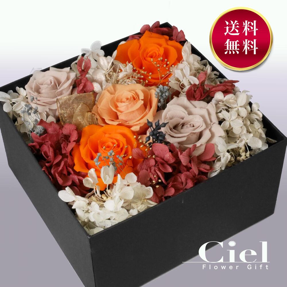 希少薔薇ブーケ柄 3m 保護 wpstaging51.a2zcreatorz.com