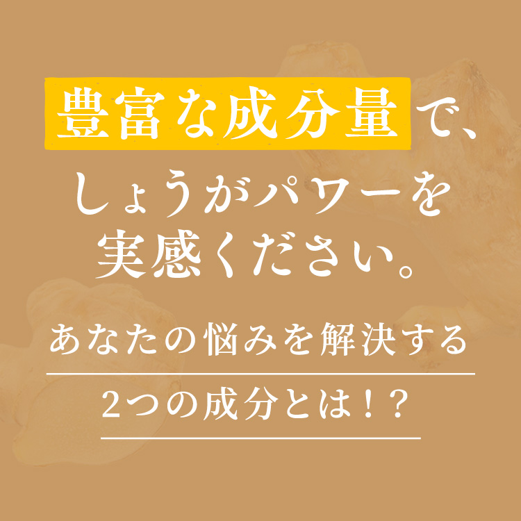 市場 国産生姜パウダー 生姜 高知県産 無添加 しょうがパウダー 3袋 おひさましょうが 粉