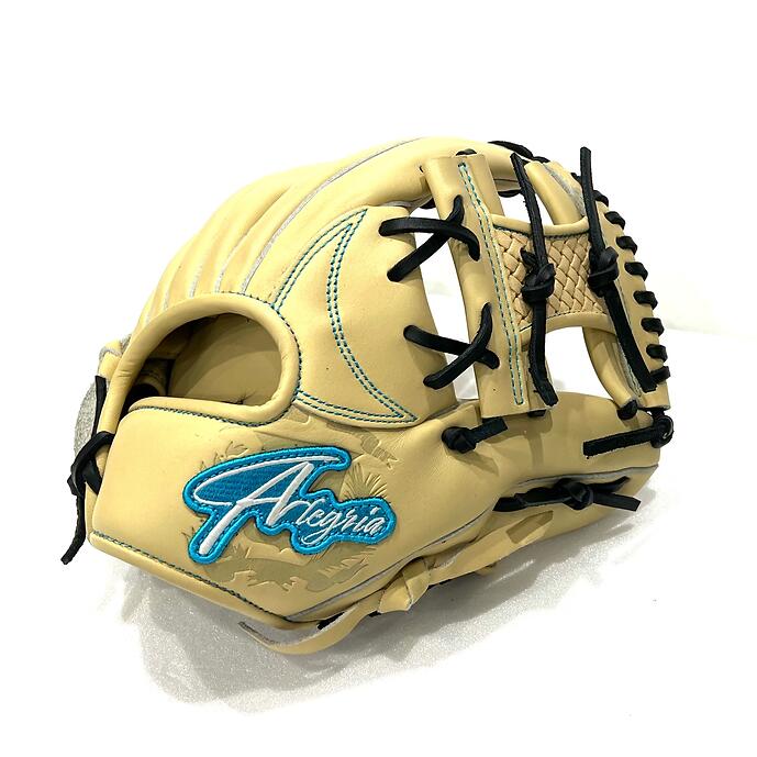 楽天市場】数量限定品【野球 ALEGRIA 硬式用 キャッチャーミット