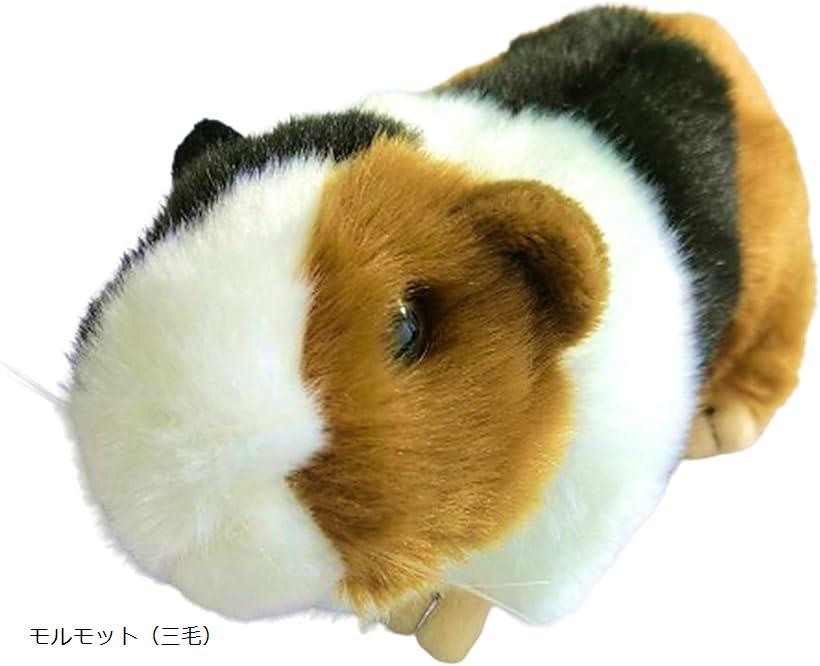 楽天市場】ケーセン Koesen ぬいぐるみ モルモット 薄茶 GUINEA PIG