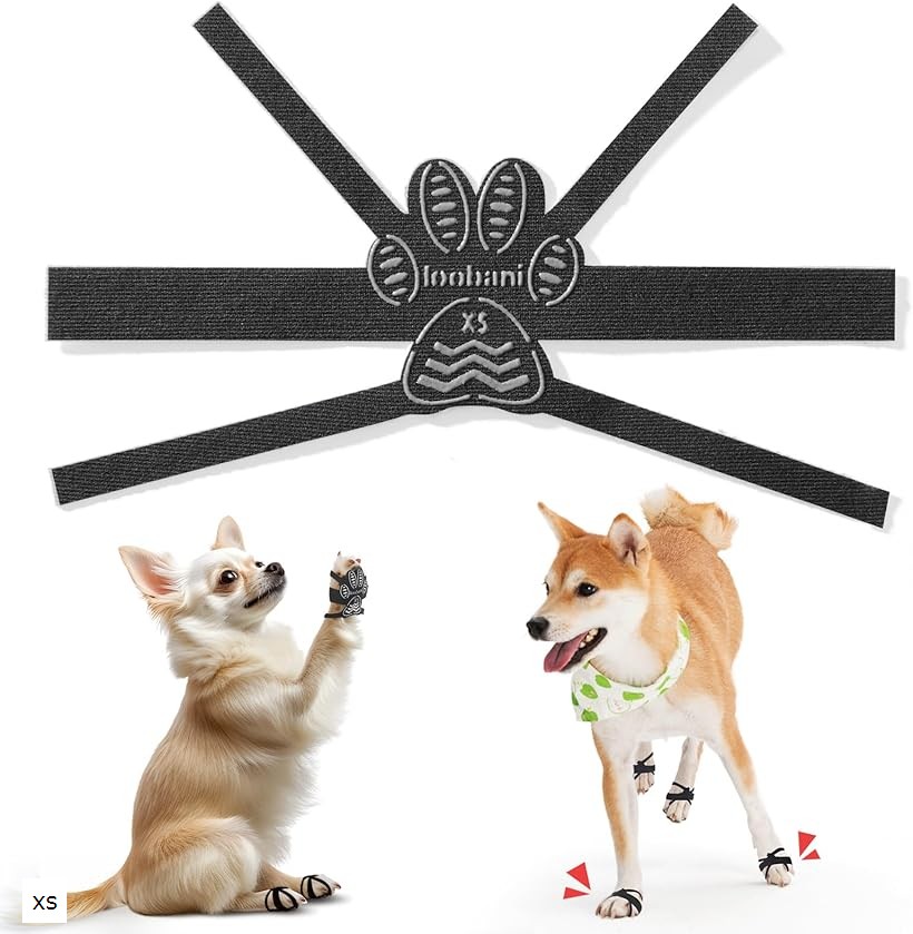 楽天市場】【楽天ランキング1位入賞】犬 滑り止め 老犬 シール 足の甲